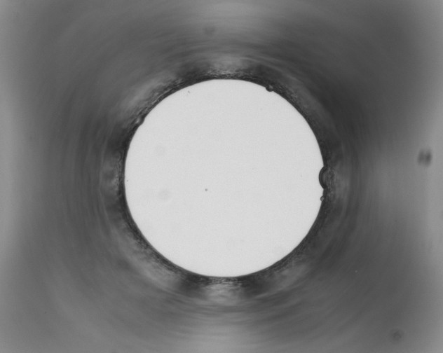 X0000112010505200909141129