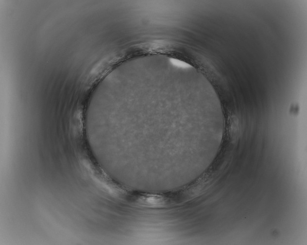 X0000112010506200909141129