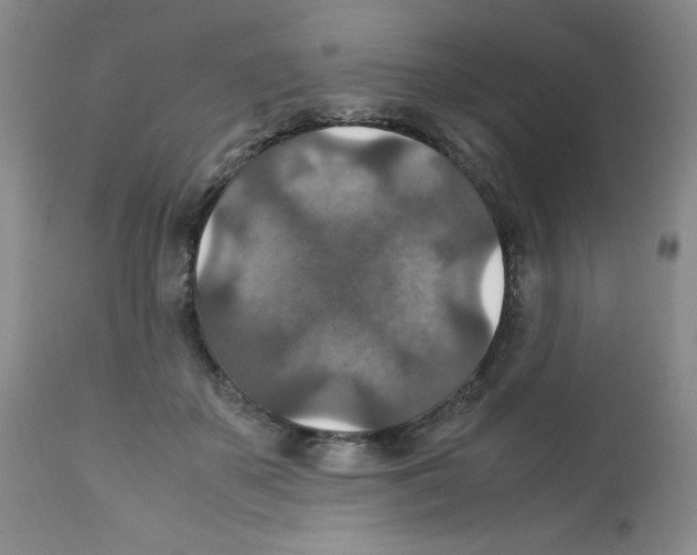 X0000112010507200909141129