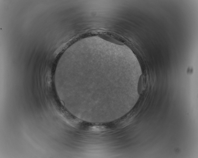 X0000112010508200909141129