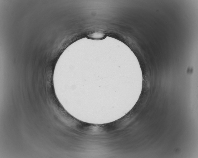 X0000112010509200909141129