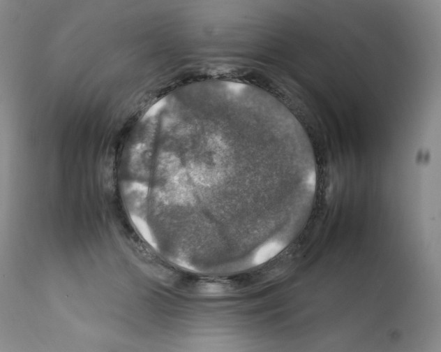 X0000112010510200909141129