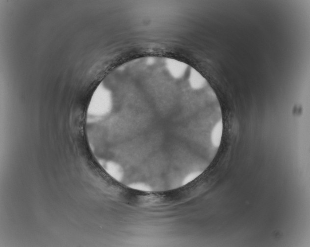 X0000112010511200909141129