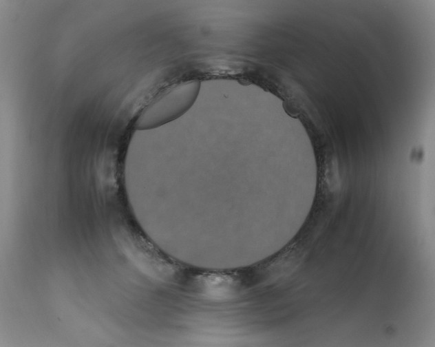 X0000112010512200909141129