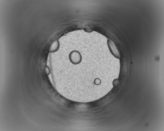 X0000112010513200909141129