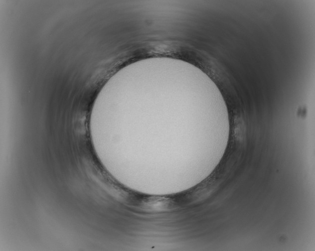 X0000112010514200909141129