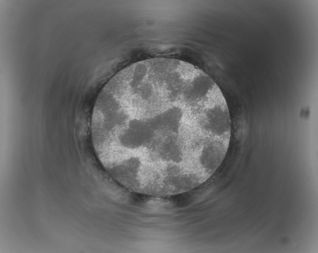 X0000112010515200909141129