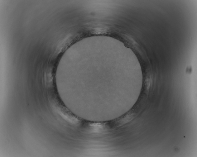 X0000112010516200909141129