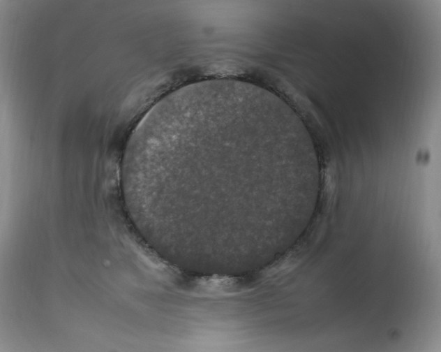 X0000112010517200909141129