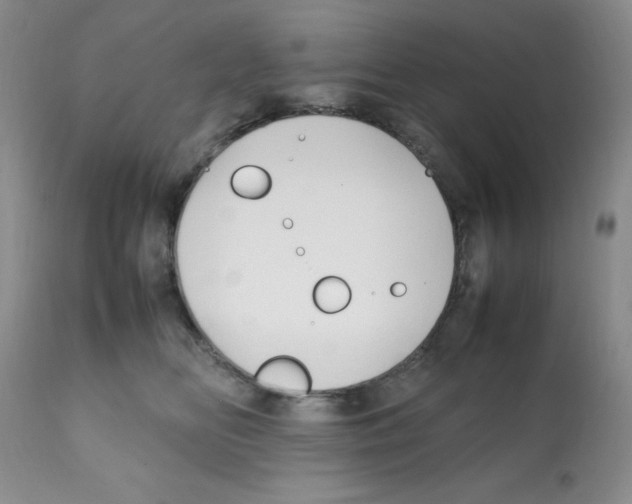 X0000112010518200909141129