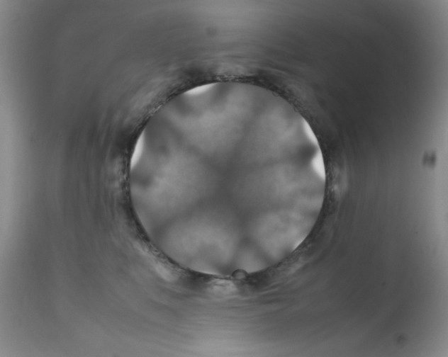 X0000112010519200909141129