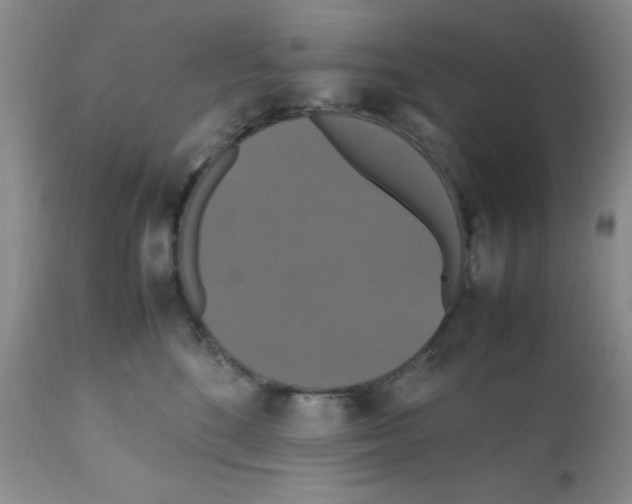 X0000112010520200909141129