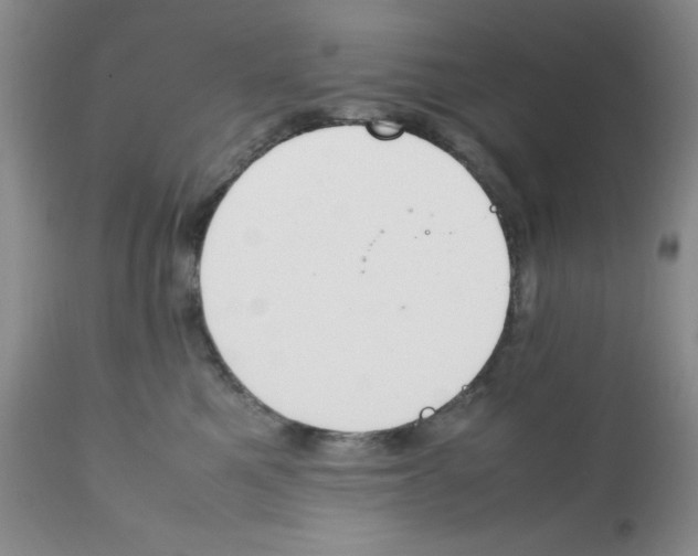 X0000112010521200909141129