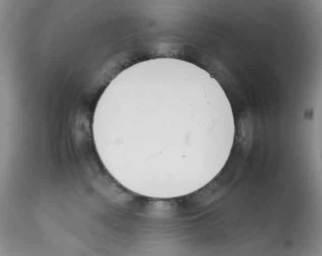 X0000112010522200909141129