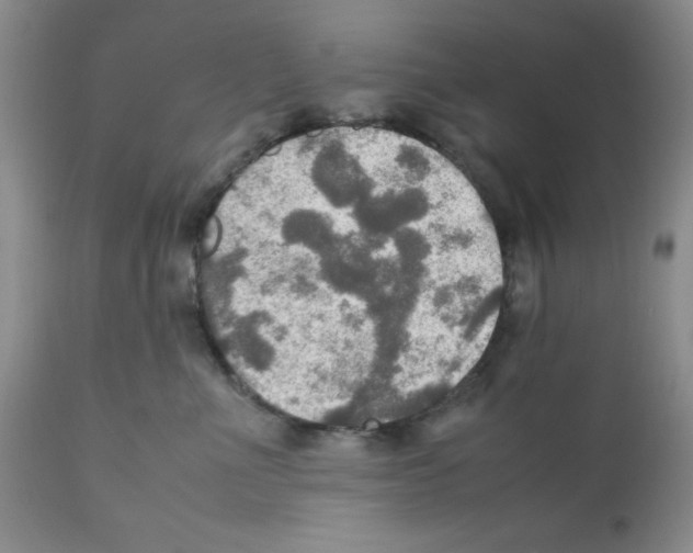 X0000112010523200909141129