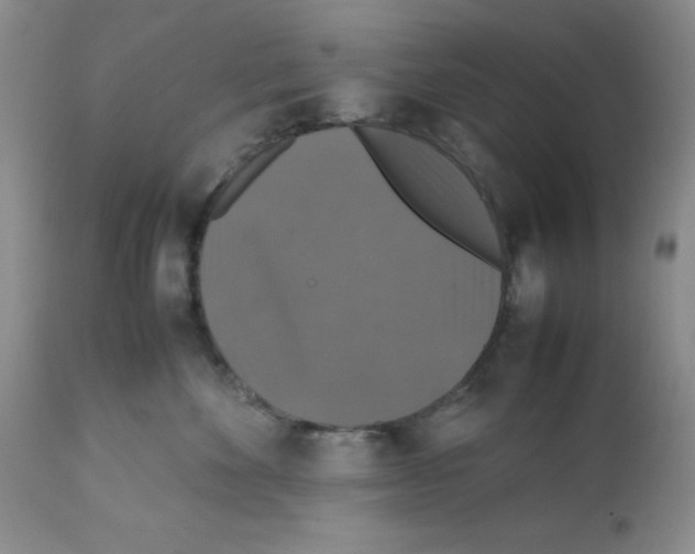 X0000112010524200909141129