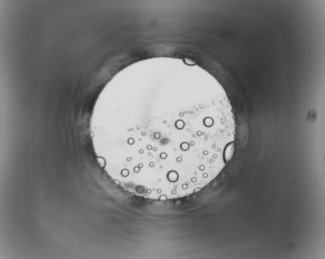 X0000112010525200909141128
