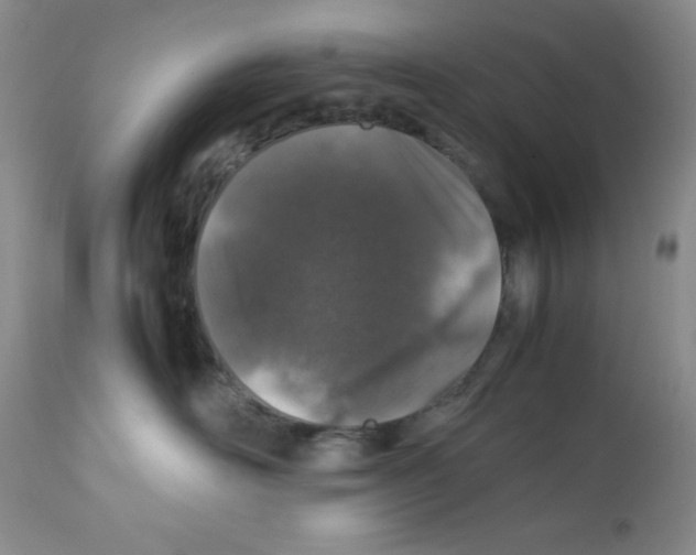 X0000112010526200909141128