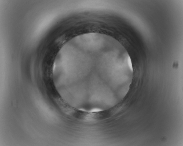 X0000112010527200909141128