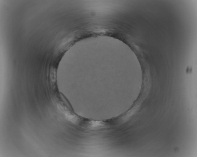 X0000112010528200909141128