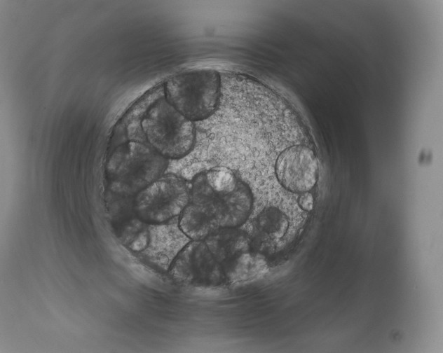 X0000112010529200909141128