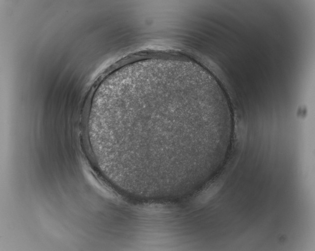 X0000112010530200909141128