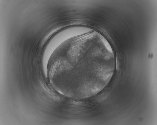 X0000112010531200909141128