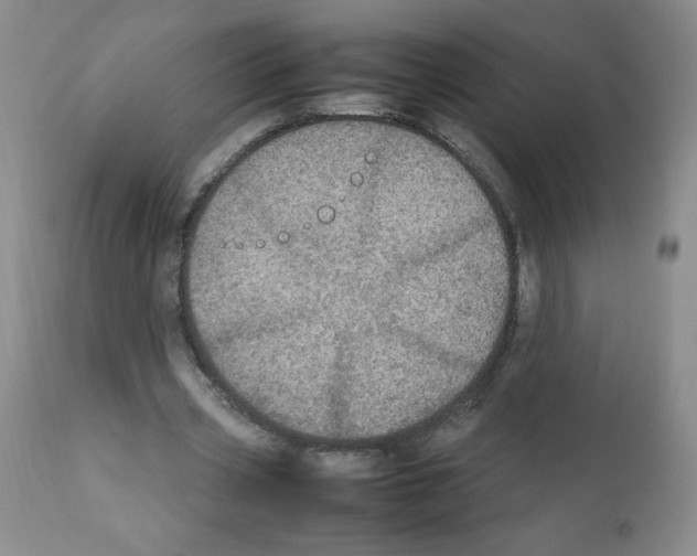 X0000112010533200909141128
