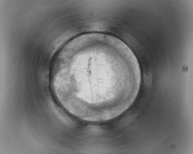 X0000112010534200909141128