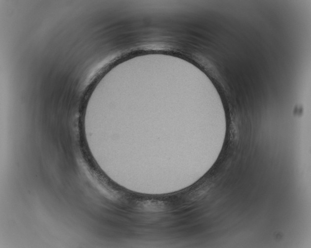 X0000112010535200909141128
