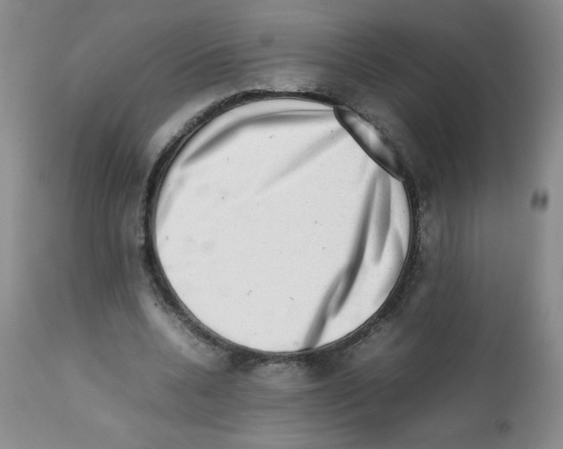 X0000112010536200909141128