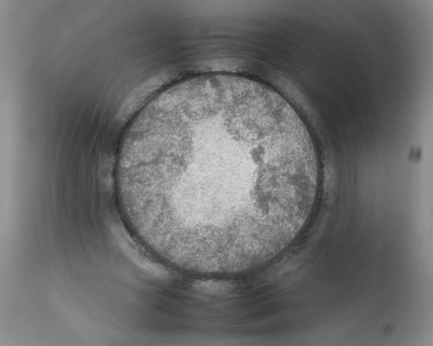 X0000112010537200909141128