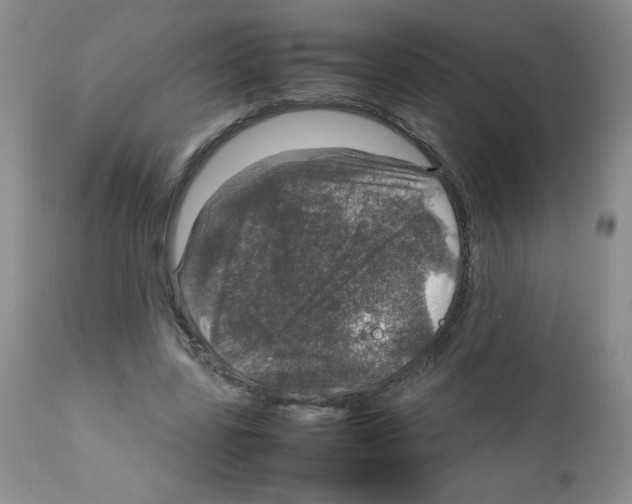 X0000112010539200909141128