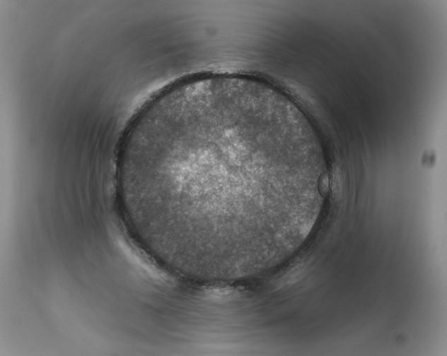 X0000112010540200909141128