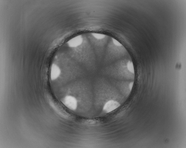 X0000112010542200909141128