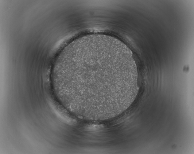 X0000112010543200909141128