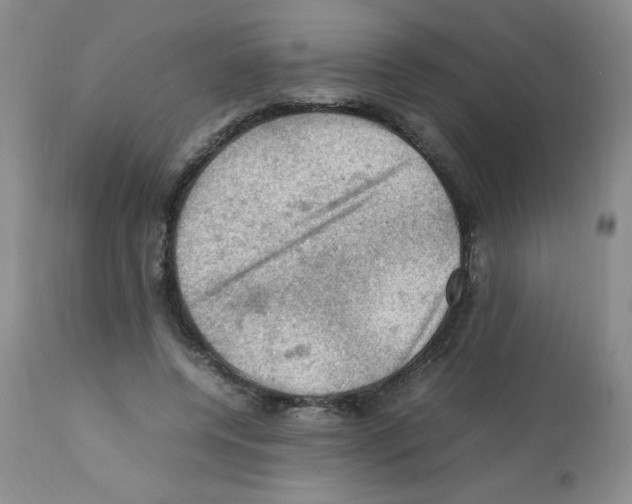 X0000112010544200909141128