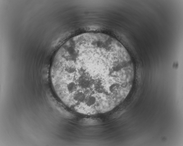 X0000112010545200909141128