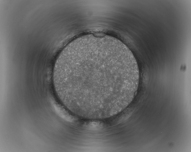 X0000112010546200909141128