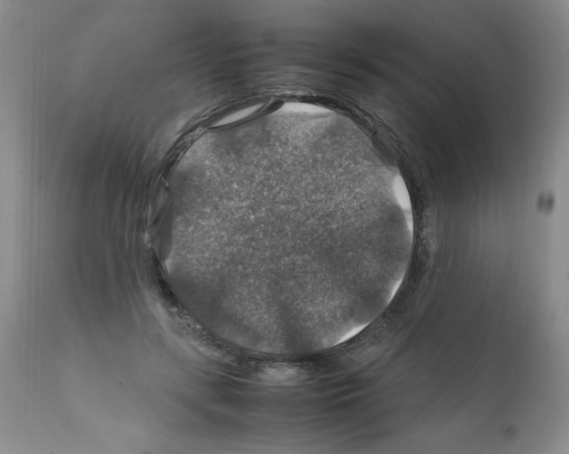 X0000112010547200909141128
