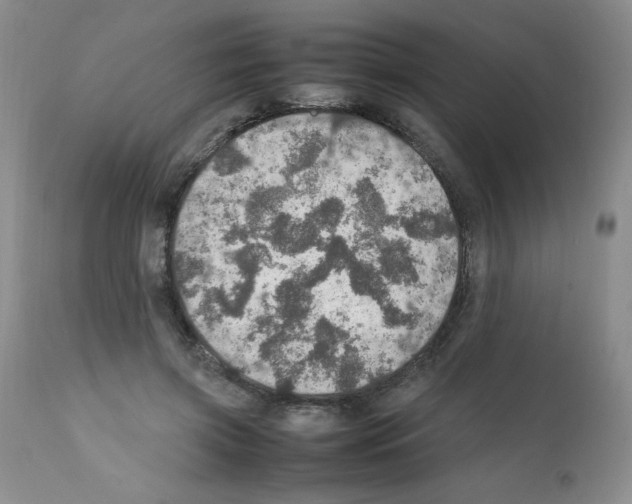 X0000112010549200909141128