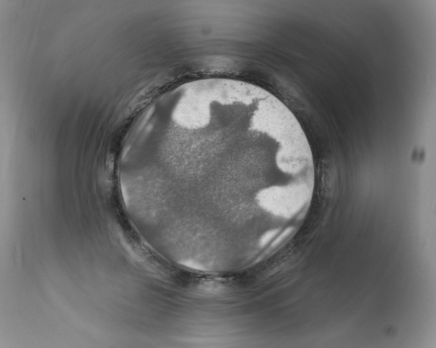 X0000112010550200909141128