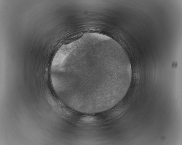 X0000112010551200909141128
