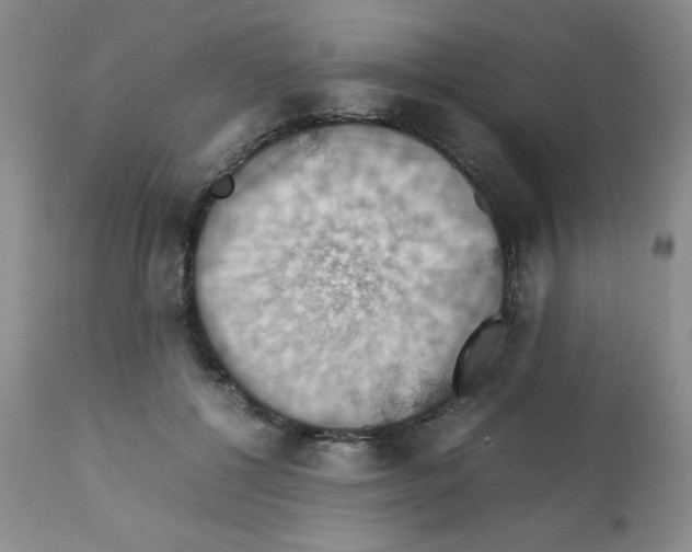 X0000112010552200909141128