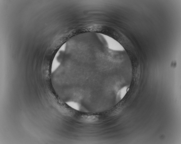 X0000112010553200909141128