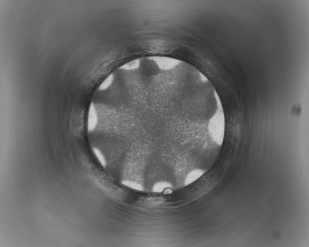 X0000112010554200909141128