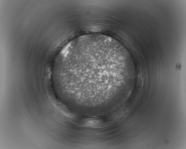 X0000112010555200909141128