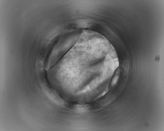 X0000112010556200909141128