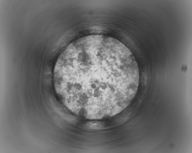 X0000112010557200909141128