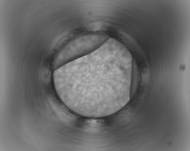 X0000112010558200909141128